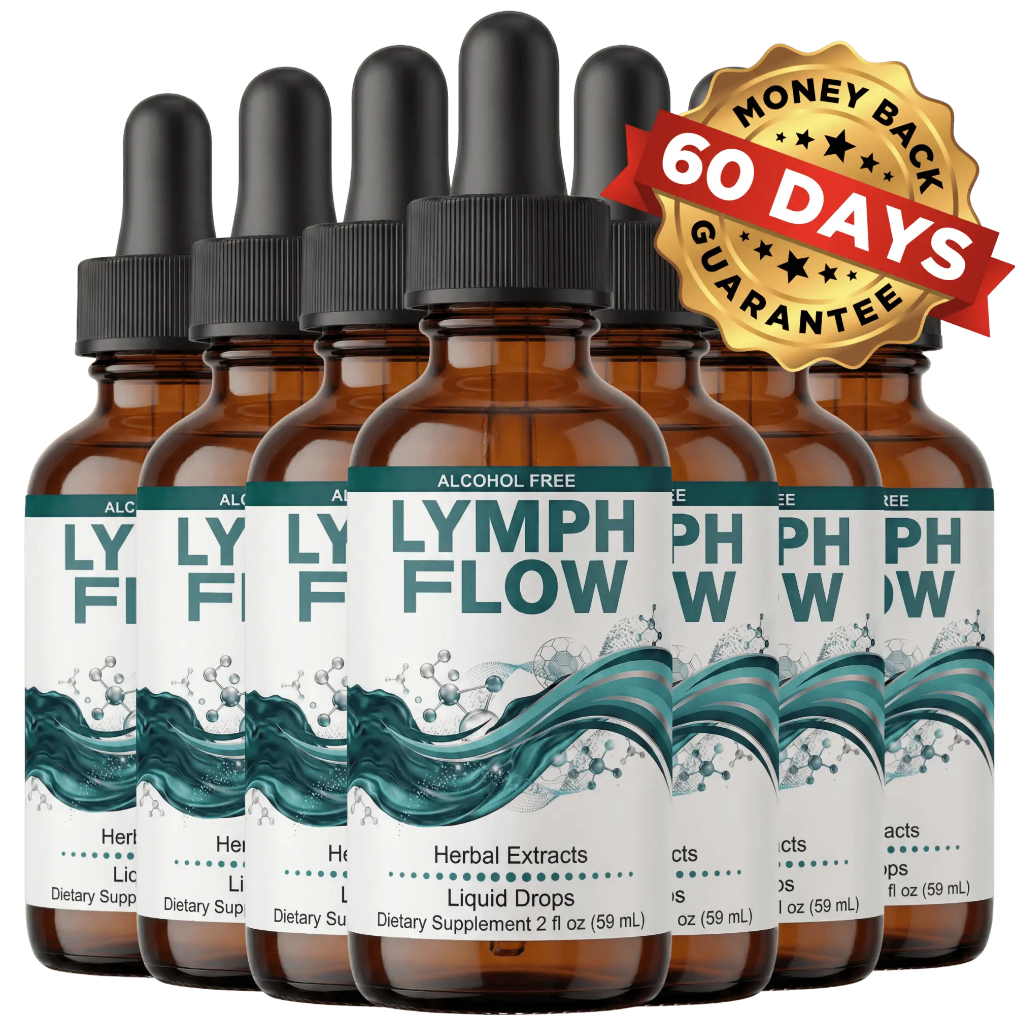 Lymph Flow 6 Bottle Bundle - 180 Day Supply - Best Value